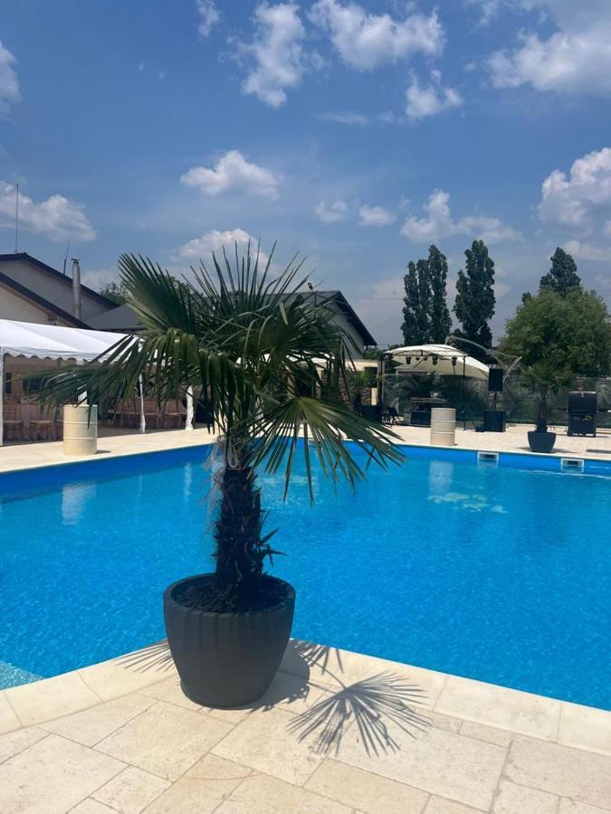Hotel Del Ponte Τιργκόβιστε Εξωτερικό φωτογραφία