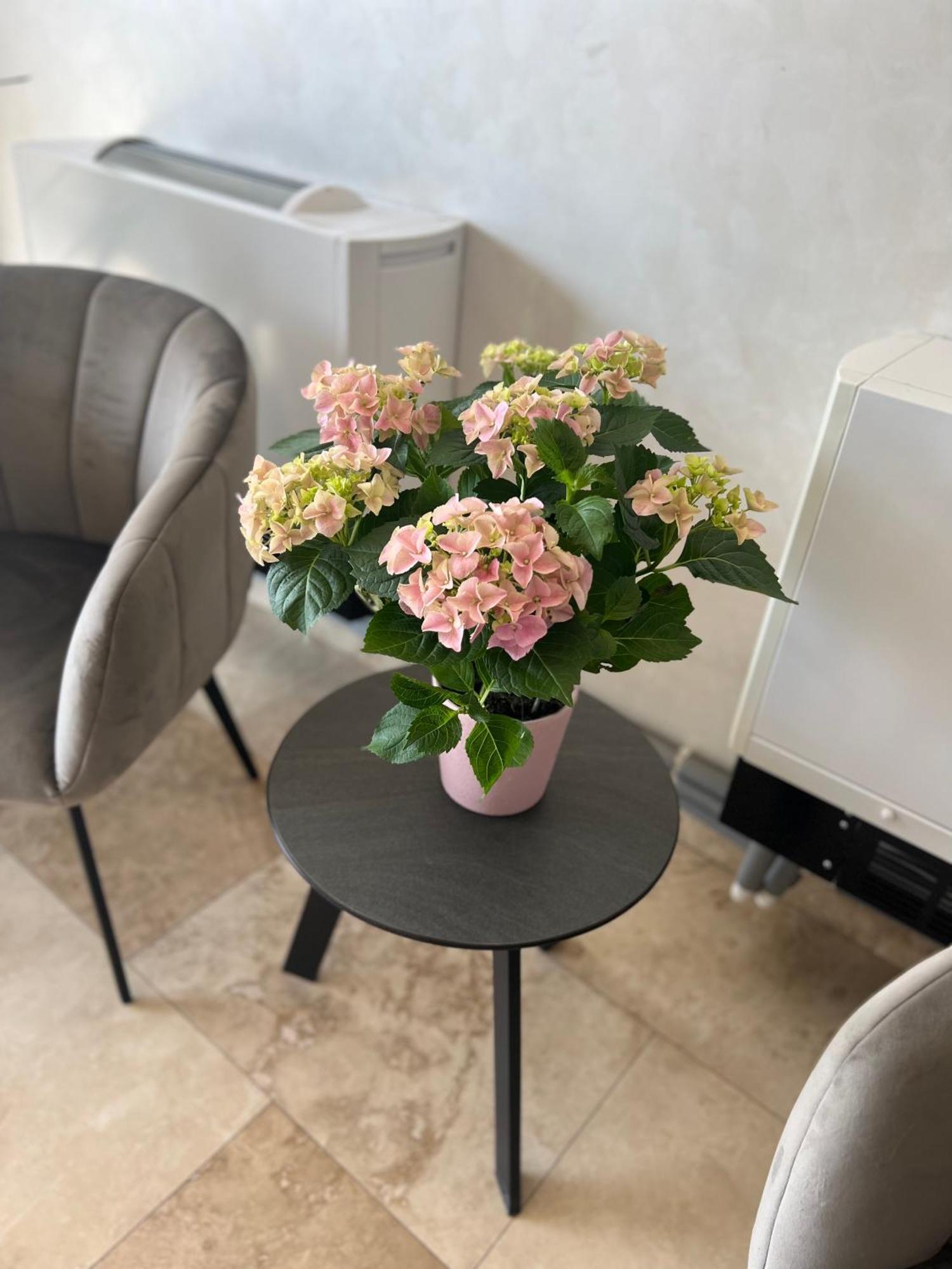 Hotel Del Ponte Τιργκόβιστε Εξωτερικό φωτογραφία