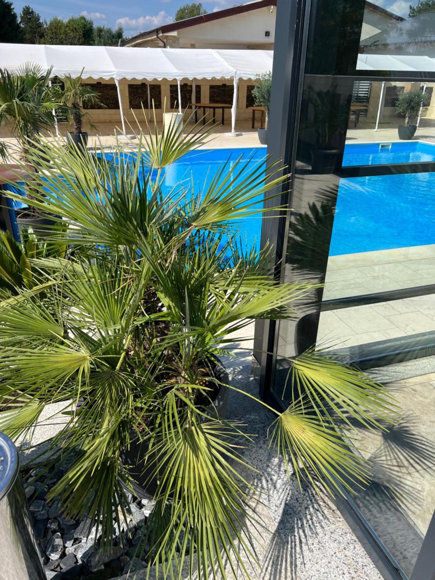 Hotel Del Ponte Τιργκόβιστε Εξωτερικό φωτογραφία